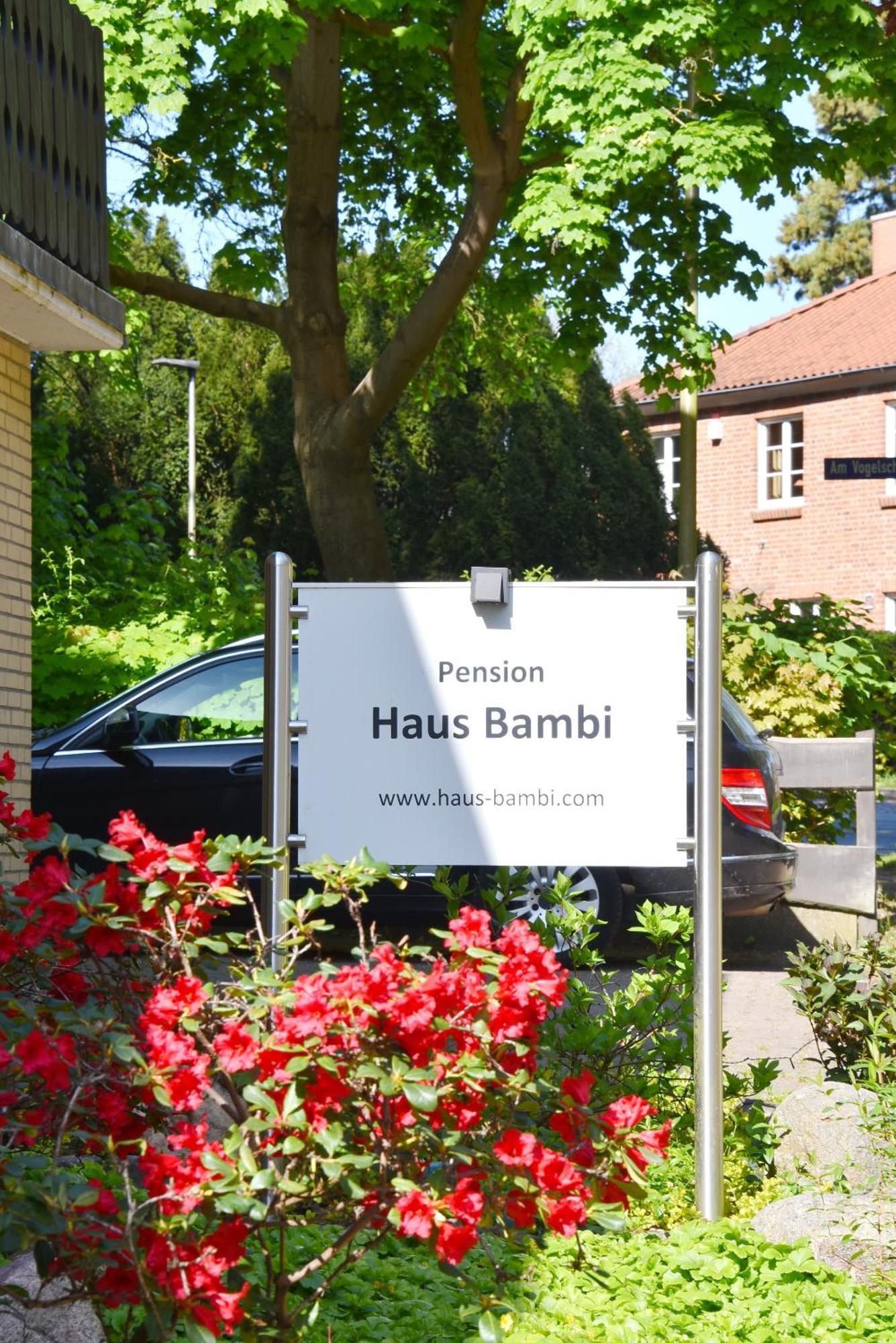 Pension Haus Bambi Molln Luaran gambar